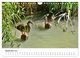 Thumbnail-11