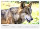 Thumbnail-14