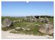 Thumbnail-2