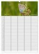 Thumbnail-10