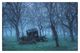 Thumbnail-8
