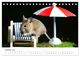Thumbnail-12