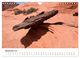 Thumbnail-11