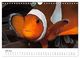 Thumbnail-11