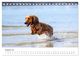 Thumbnail-13