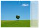 Thumbnail-10
