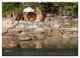 Thumbnail-11