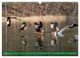 Thumbnail-9