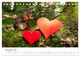 Thumbnail-13