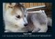 Thumbnail-12