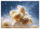Thumbnail-9