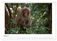 Thumbnail-9