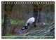Thumbnail-13