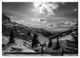 Thumbnail-13