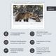 Thumbnail-15