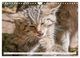 Thumbnail-12