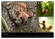 Thumbnail-12