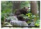 Thumbnail-13