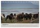 Thumbnail-14