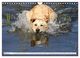 Thumbnail-8