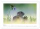 Thumbnail-10