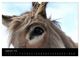 Thumbnail-14