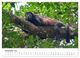 Thumbnail-14