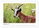 Thumbnail-14