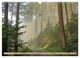 Thumbnail-11