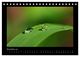 Thumbnail-13