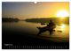 Thumbnail-10