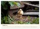 Thumbnail-11
