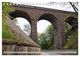 Thumbnail-14