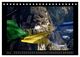 Thumbnail-9