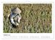 Thumbnail-12