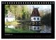 Thumbnail-14