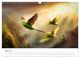 Thumbnail-7