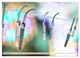 Thumbnail-14