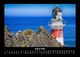 Thumbnail-12