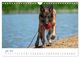 Thumbnail-9