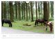 Thumbnail-9