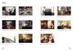 Thumbnail-10