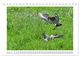 Thumbnail-12