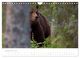 Thumbnail-11