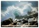 Thumbnail-14