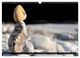 Thumbnail-12