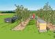 Thumbnail-2