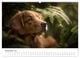 Thumbnail-14