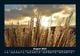 Thumbnail-12