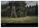 Thumbnail-8